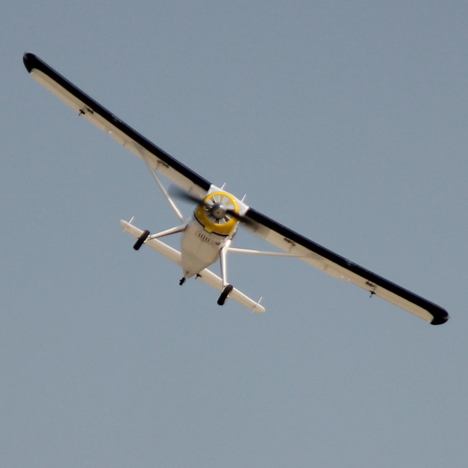 Dynam-DHC-2-Beaver-V2-Blue-4S-Sea-Land-RC-Radio-Controlled-Seaplane-1500mm-Flaps-Plus-Floats-PNP-SPNP-BNF-RTF-8C-DY8961BL