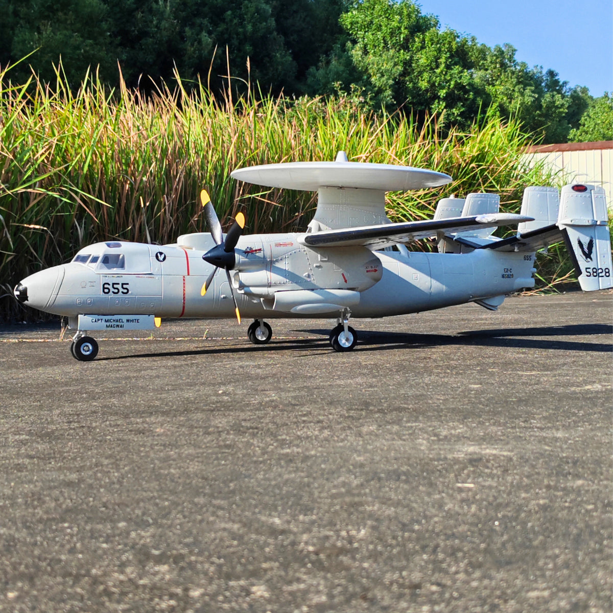 🌟🎉 New Release! Dynam E-2C Hawkeye AEW 1500mm Twin-Engine 360° Rotating Radar RC Scale Airplane