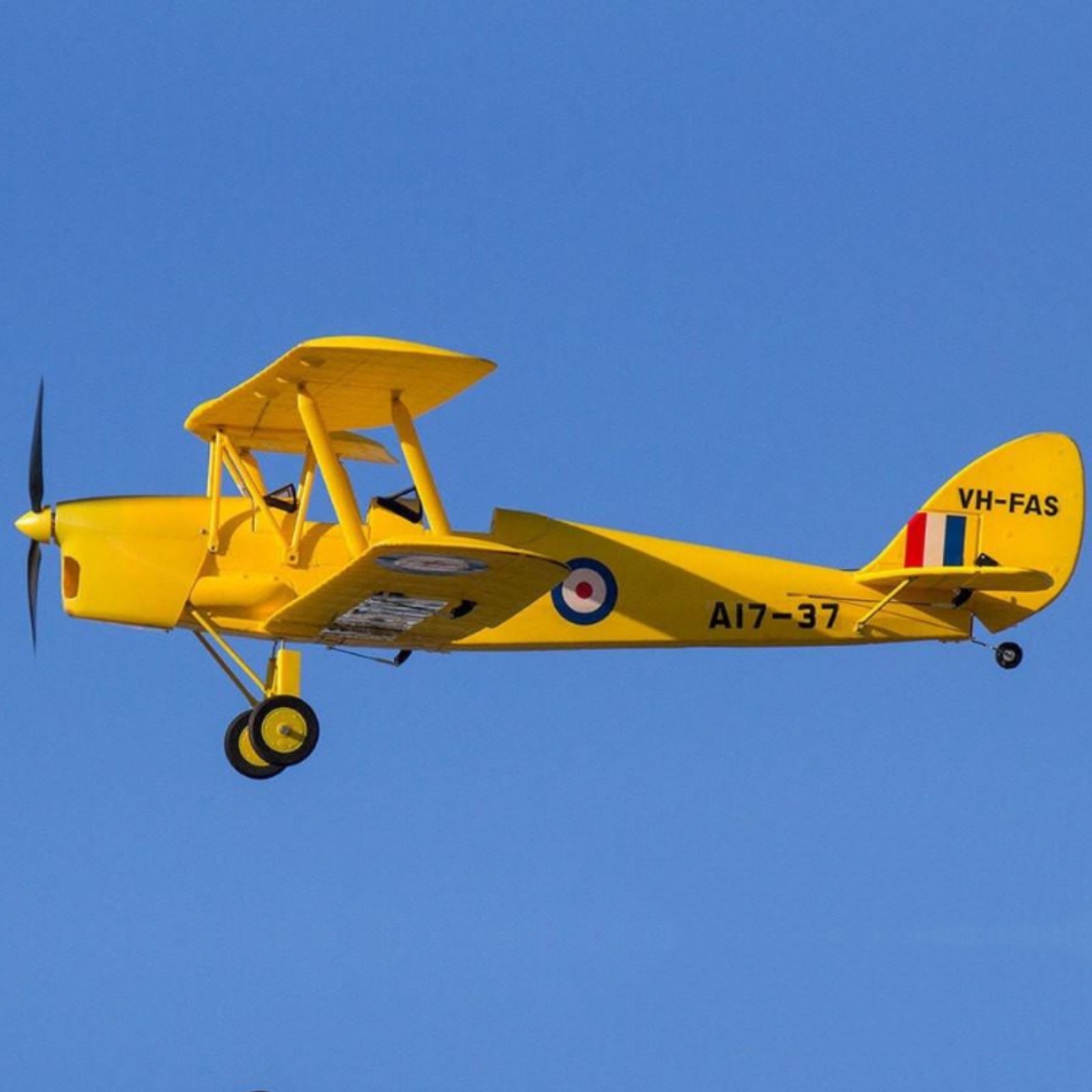 Dynam-Tiger-Moth-DH-82-V2-Yellow-4S-RC-Radio-Controlled-Biplane-1300mm-Wingspan-PNP-SPNP-BNF-RTF-6C-DY8957YL