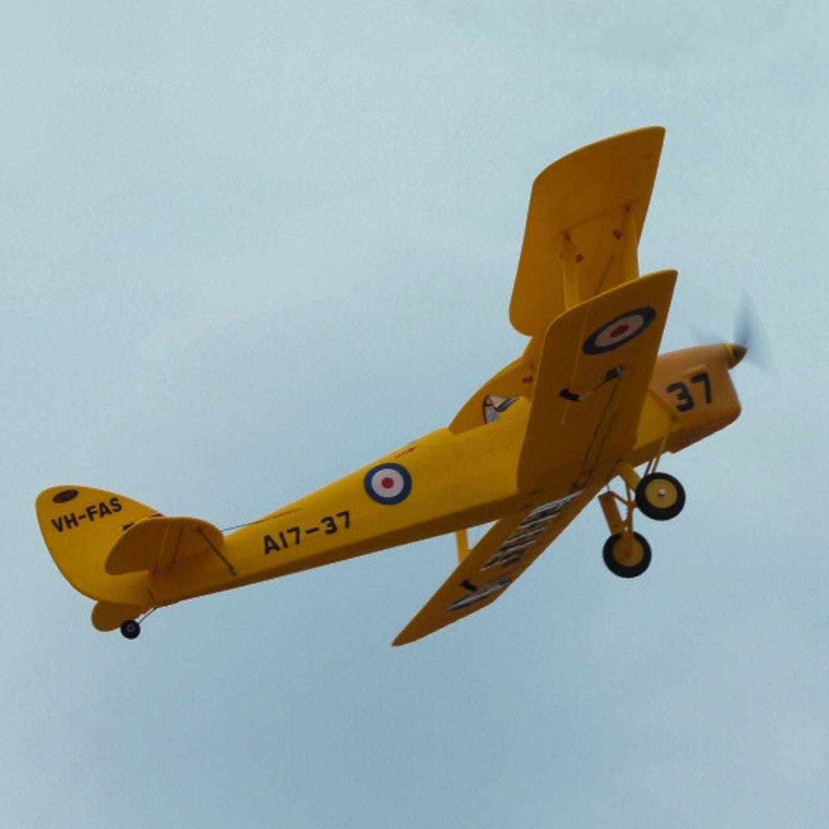 Dynam-Tiger-Moth-DH.-82-V2-Yellow-4S-Radio-Controlled-Biplane-1300mm-Wingspan-DY8957-SRTF_2