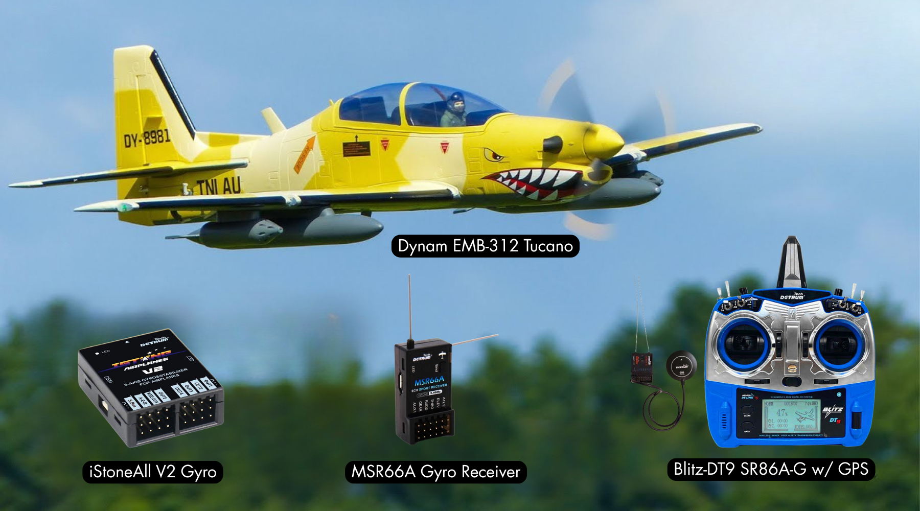 How Does an Dynam RC Airplane Work