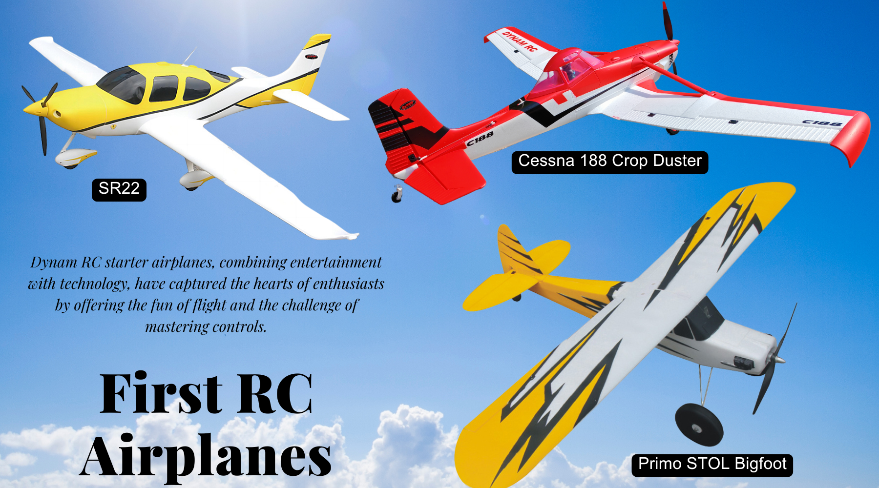 What Is The Best Dynam RC Plane for Beginners