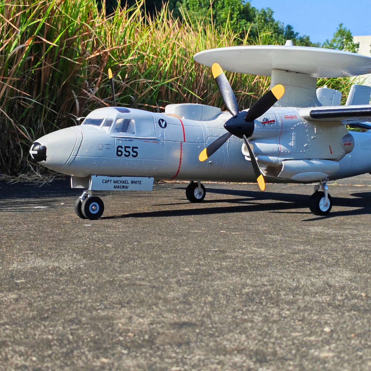 🌟🎉 New Release! Dynam E-2C Hawkeye AEW 1500mm Twin-Engine 360° Rotating Radar RC Scale Airplane
