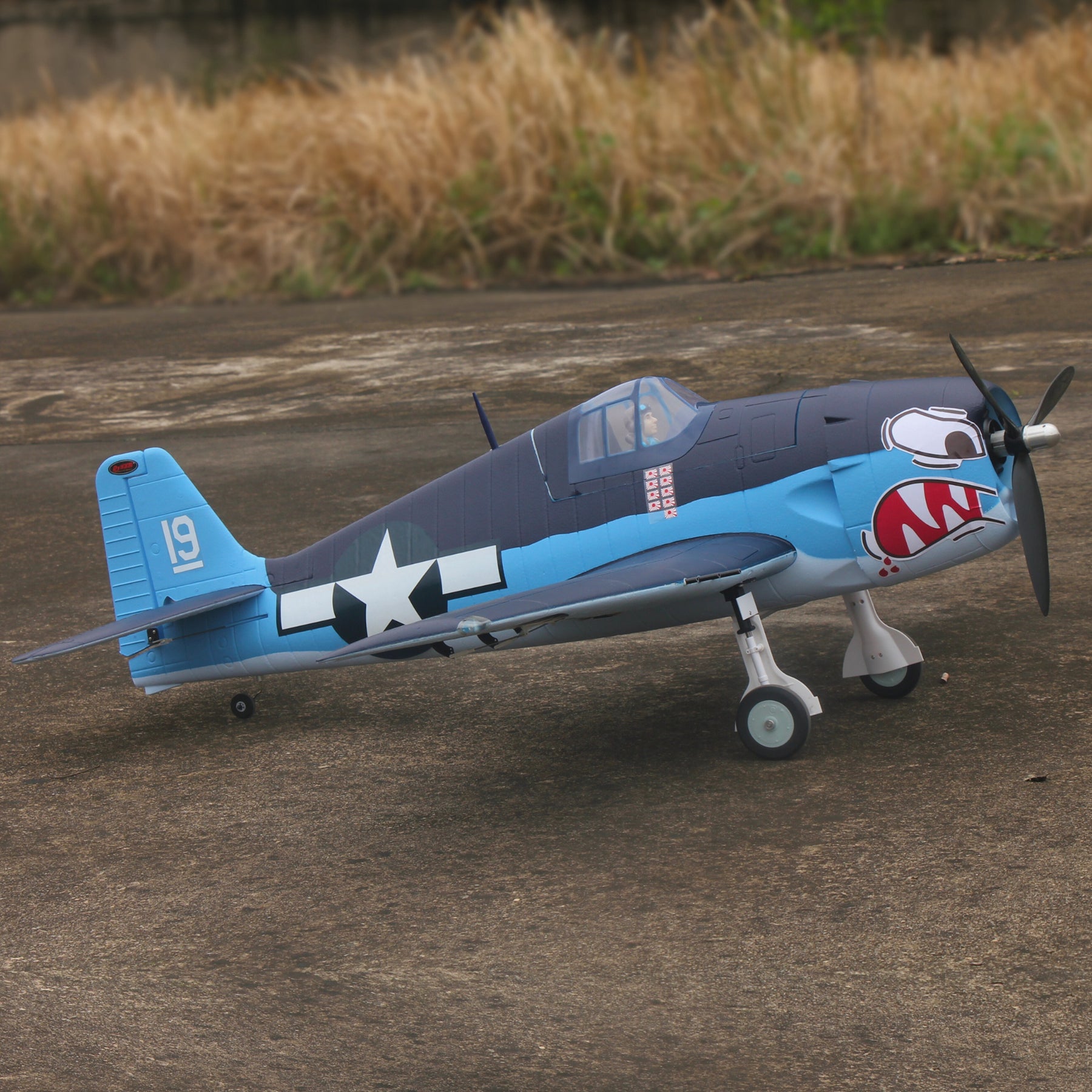 Dynam F6F Hellcat (ヘルキャット) V2 4S RC ウォーバード プレーン