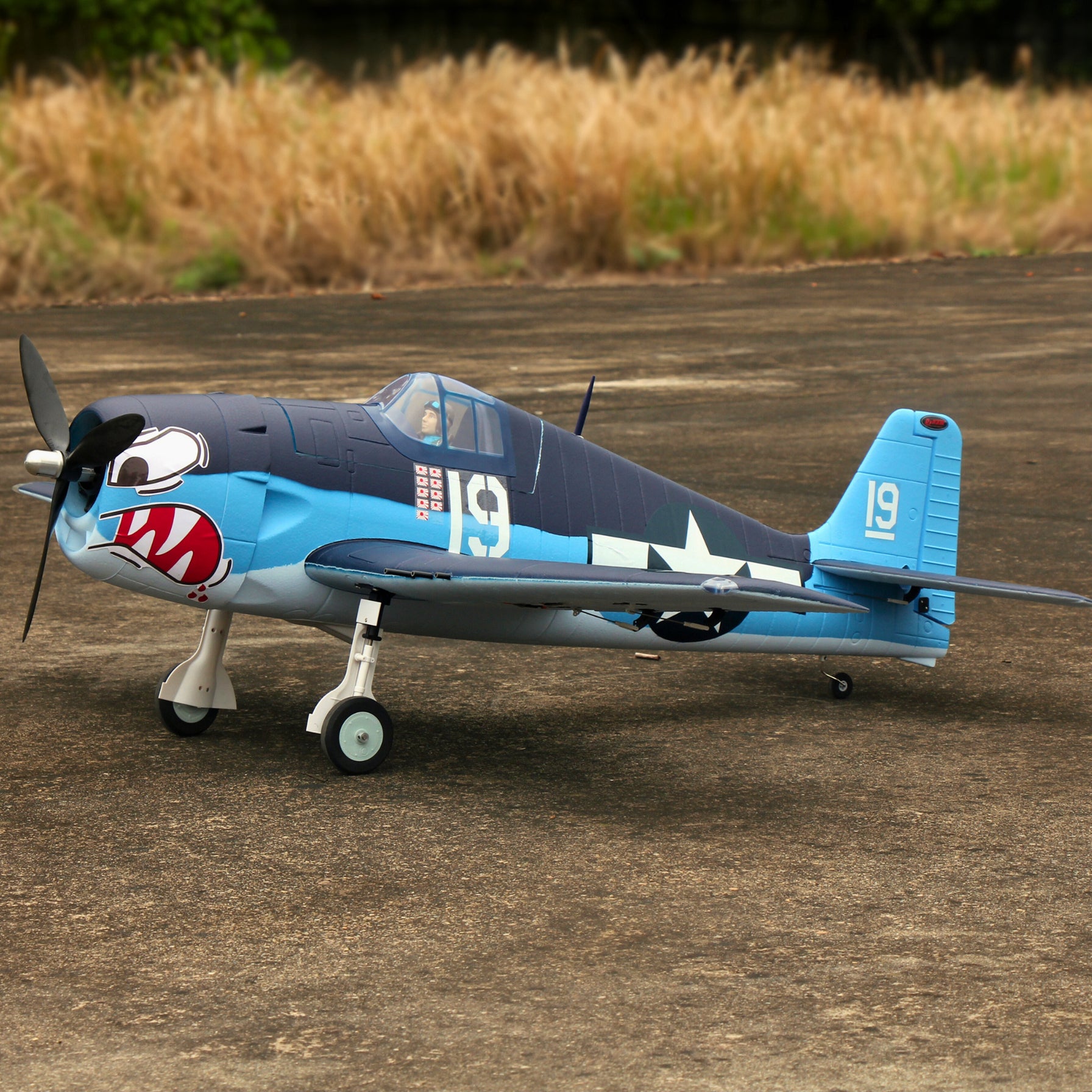 Dynam F6F Hellcat (ヘルキャット) V2 4S RC ウォーバード プレーン