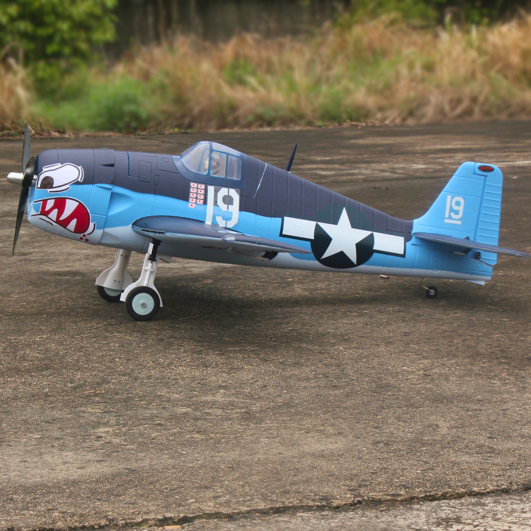 Dynam F6F Hellcat (ヘルキャット) V2 4S RC ウォーバード プレーン