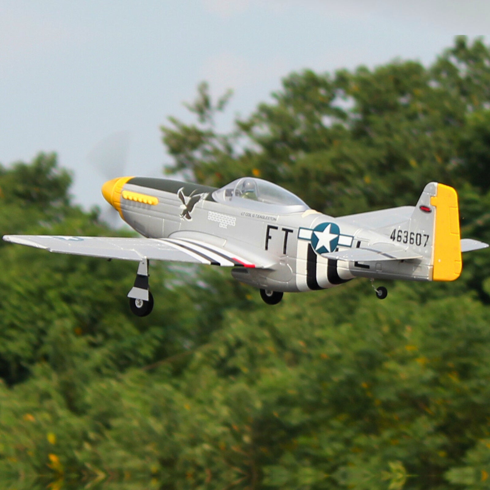 Dynam P-51 マスタング V2 シルバー RC ウォーバード プレーン 1200mm